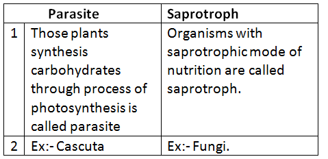 NCERT Class 7 Science First Chapter Nutrition in Plants ...
