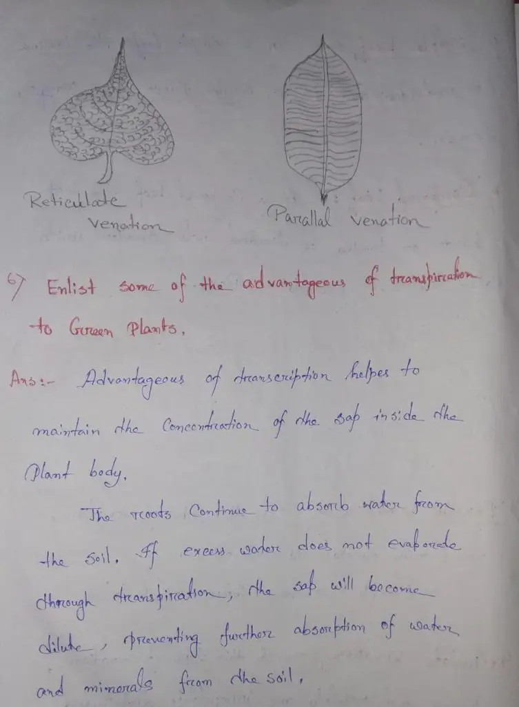Selina Concise Class 6 Biology Chapter 1 The Leaf Solution