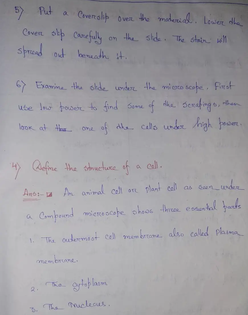 Selina Concise Class 6 Biology Inside Question Answer – Cell The Structure  and Functions