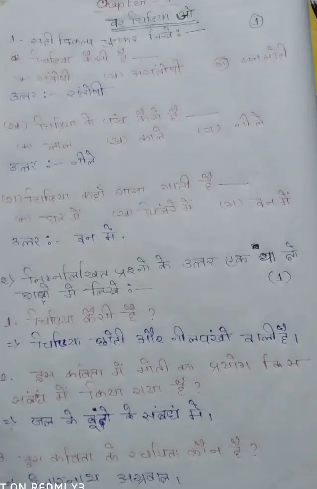 Ncert Class 6 Hindi Vasant Chapter 1 Wah Chidiya Jo Extra Questions
