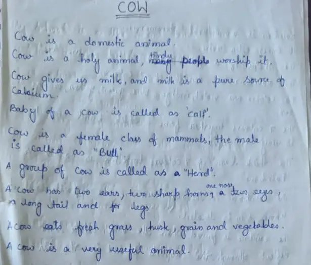 Cow Paragraph for Class 1 Standard | Net Explanations Cow Paragraph for Class 1 Standard | Net Explanations