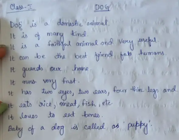 Dog Paragraph for Class 1 Standard | Net Explanations Dog Paragraph for Class 1 Standard | Net Explanations