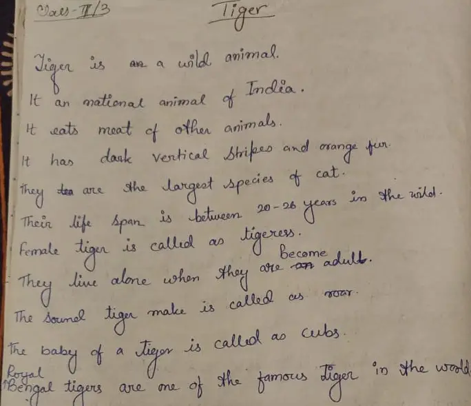 Tiger Paragraph for Class 3 Standard | Net Explanations Tiger Paragraph for Class 3 Standard | Net Explanations
