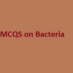 bacteria mcq