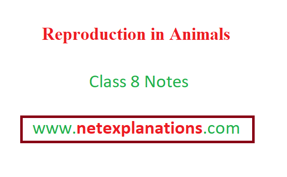 PDF] CBSE Notes - Reproduction in Animals Class 8 | Science Chapter 9