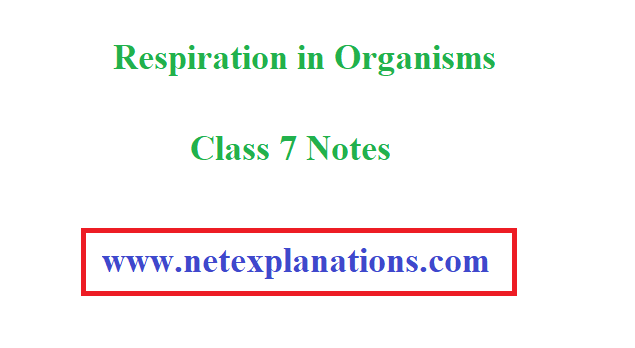 PDF] CBSE Notes - Respiration in Organisms Class 7 | Science Chapter 10