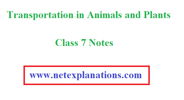 PDF] CBSE Notes - Transportation in Animals and Plants Class 7 | Science  Chapter 11
