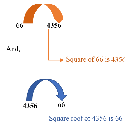 Square Root of 4356 | How to find Square Root of 4356 - Net Explanations