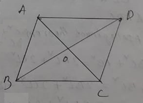Maharashtra Board Class 10 Math Part - 2 Chapter 2 Pythagoras Theorem ...