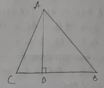 Maharashtra Board Class 10 Math Part - 2 Chapter 2 Pythagoras Theorem ...
