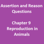Assertion and Reason Questions Class 8 Science Chapter 9 Reproduction in  Animals
