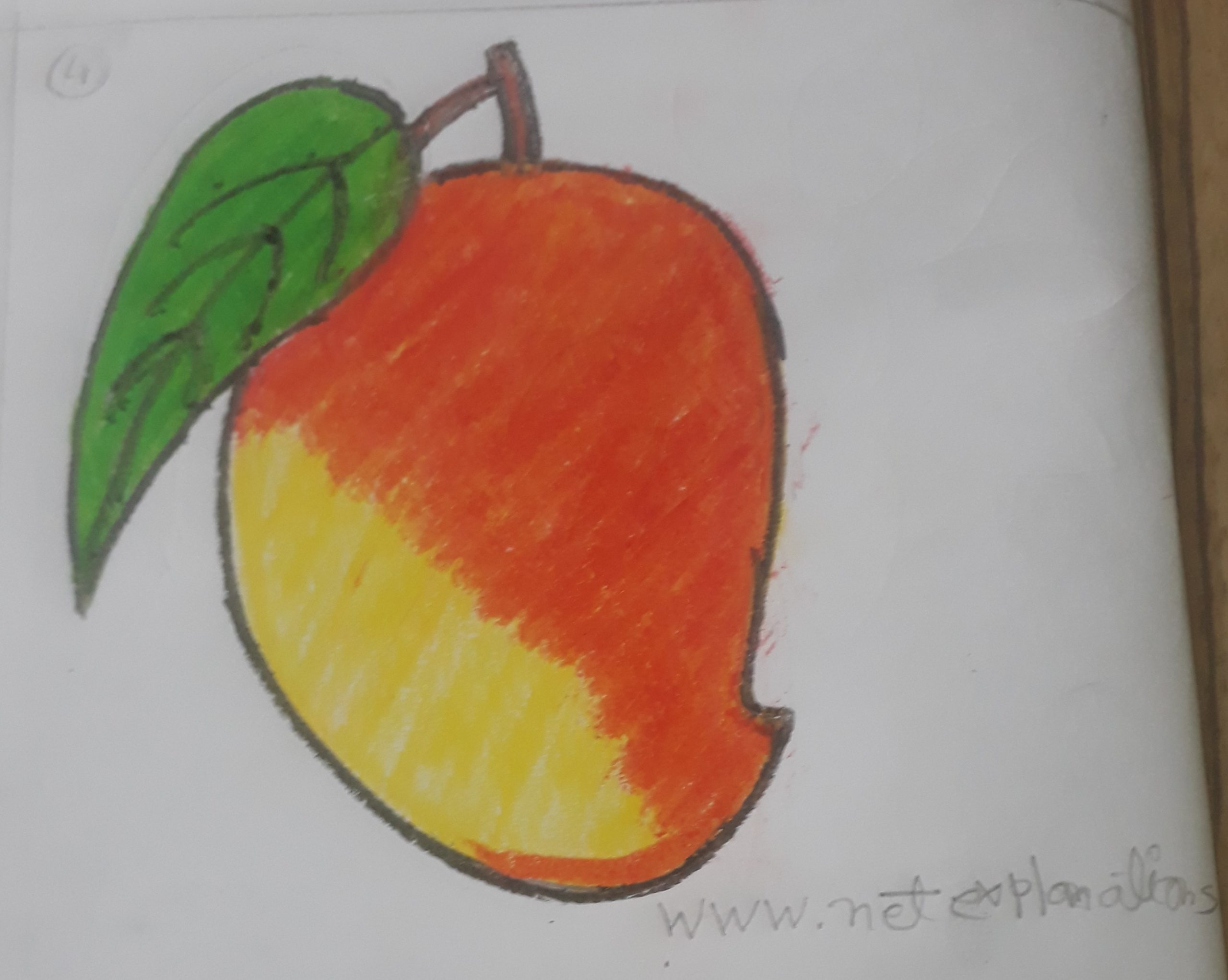 How to Draw a MANGO Easy Step by Step For Kids - YouTube