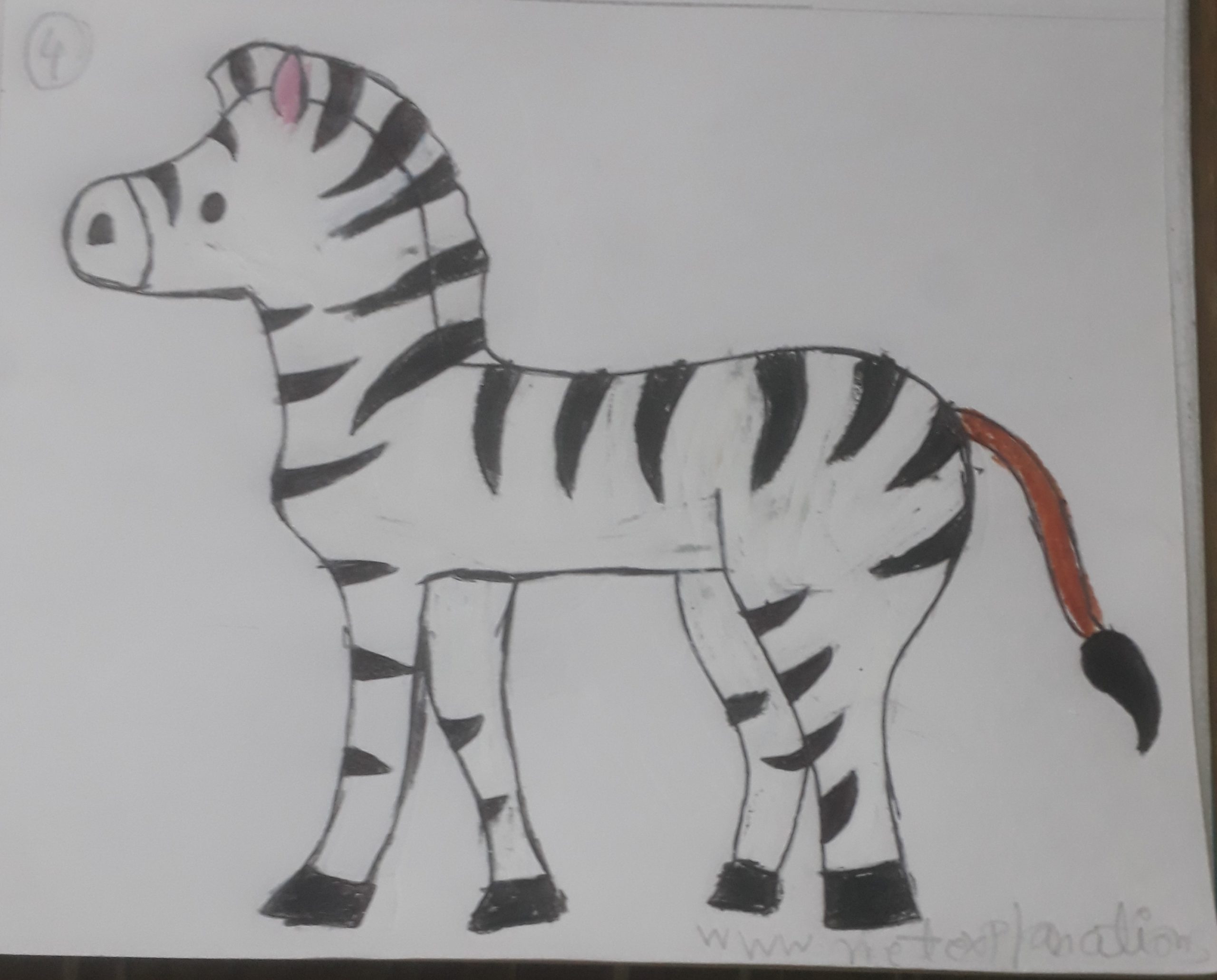 Easy How to draw a Zebra and Zebra Coloring Page