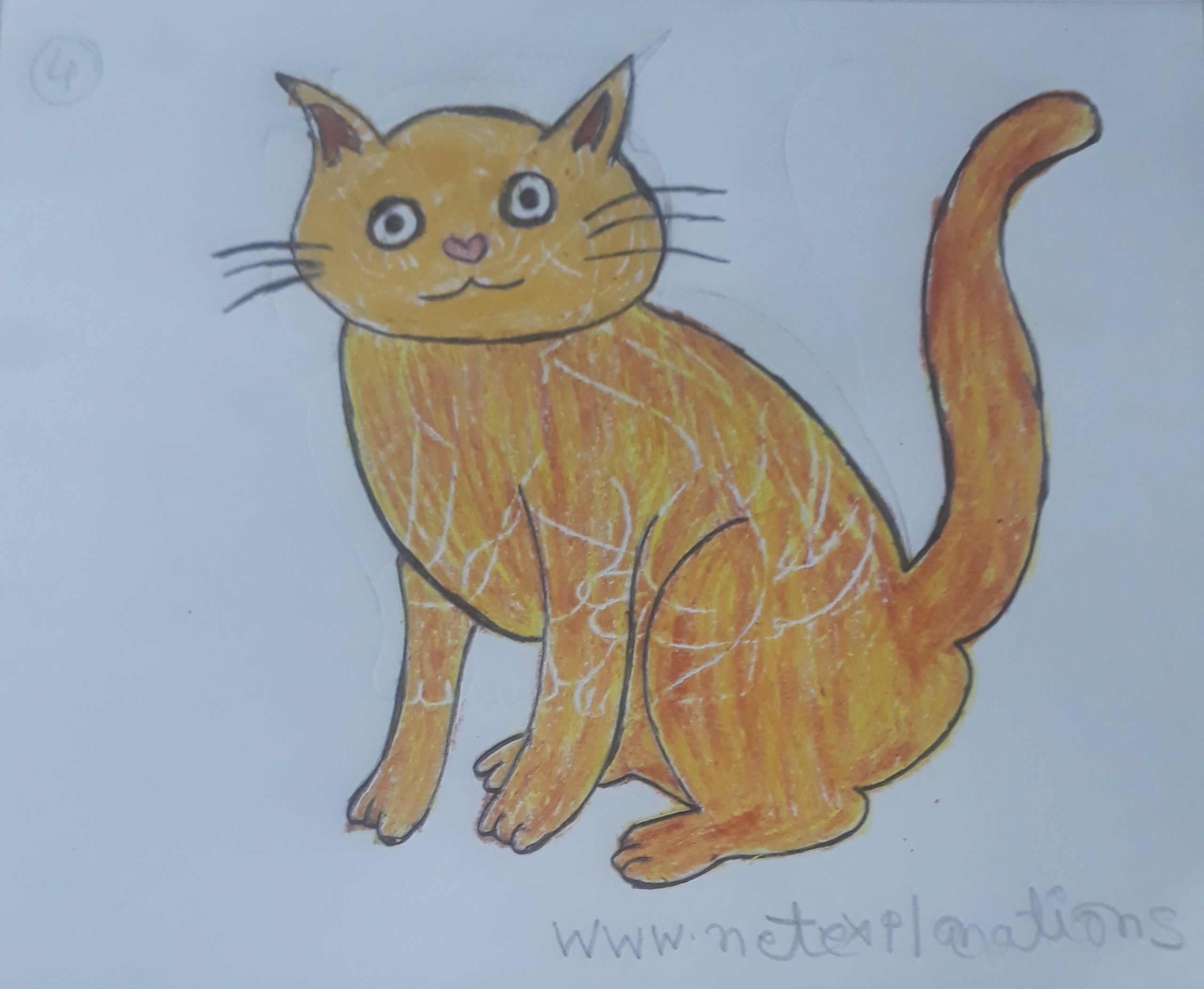 Easy How to draw a Cat and Cat Coloring Page