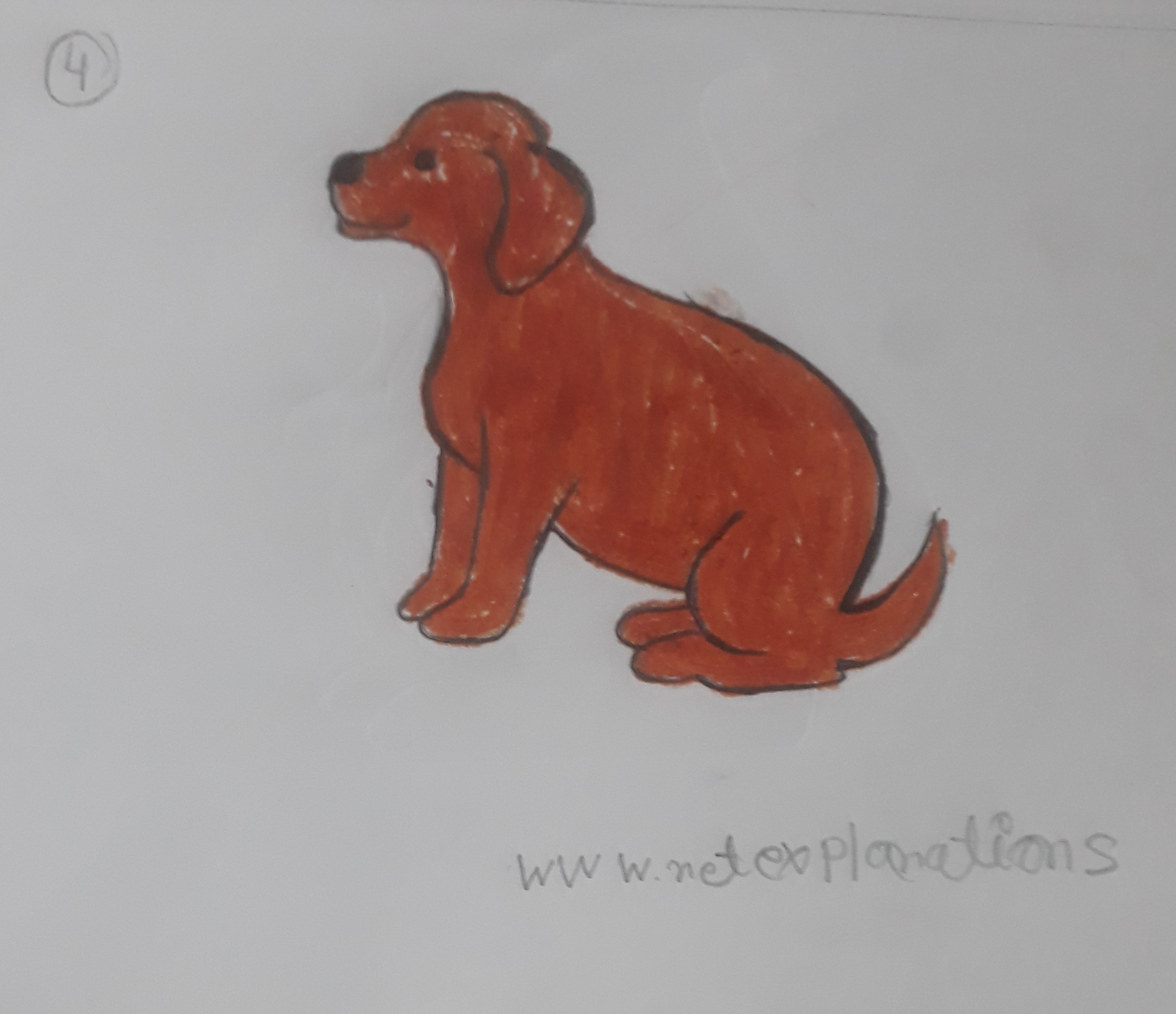 Easy How to draw a Dog and Dog Coloring Page