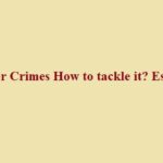 essay on cyber crime and solution