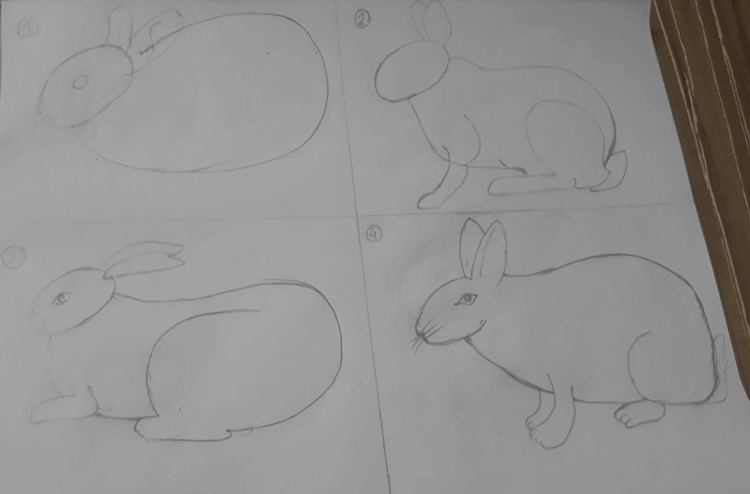 Easy How to draw a Rabbit and Rabbit Coloring Page