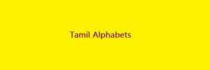Tamil Alphabets 