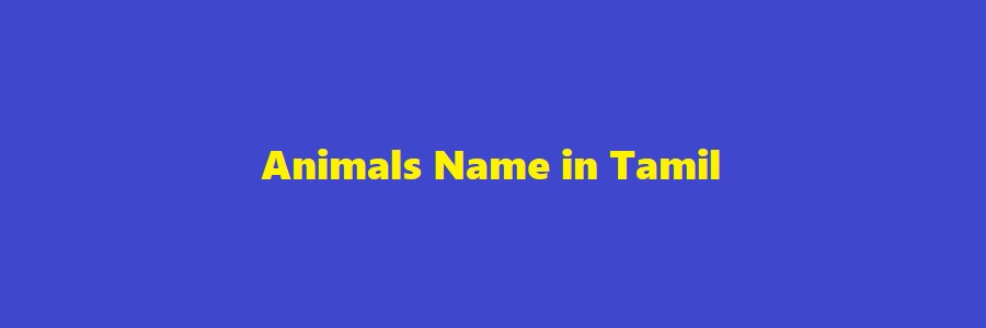 Animals Name in Tamil (Starting with A, B, C, D, E, F, G, H, I, J ...)