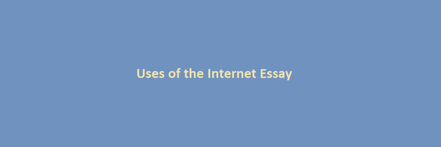 internet uses essay
