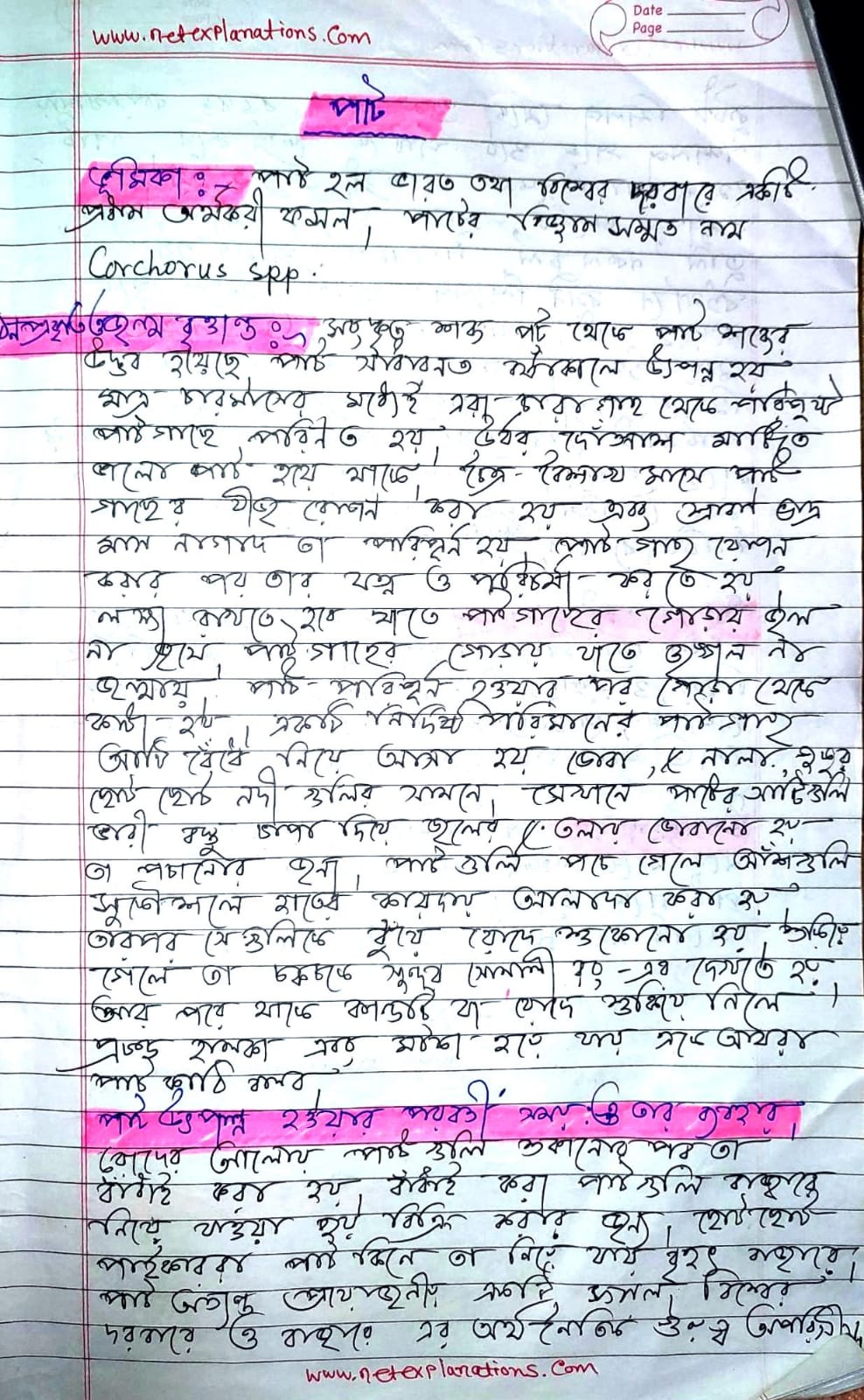 Bangla Rachana on পাট, Rachana for Class 7, 8, 9, 10, 11, 12