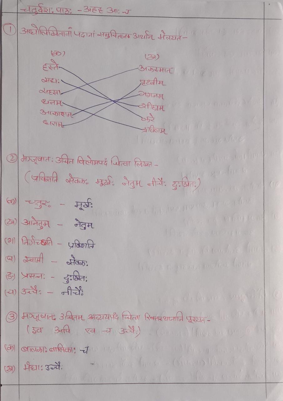 NCERT Solutions : Class 6 Sanskrit Chapter 14 अहह आ च