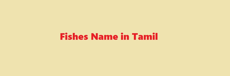 Fishes Name in Tamil (Starting with A, B, C, D, E, F, G, H, I, J, K ...)