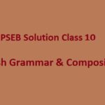 pseb board class 10 english grammar