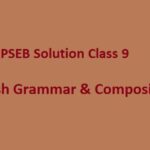 pseb board class 9 english grammar
