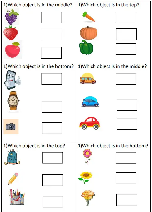 Identify objects top middle and bottom worksheet for lkg total marks 40 