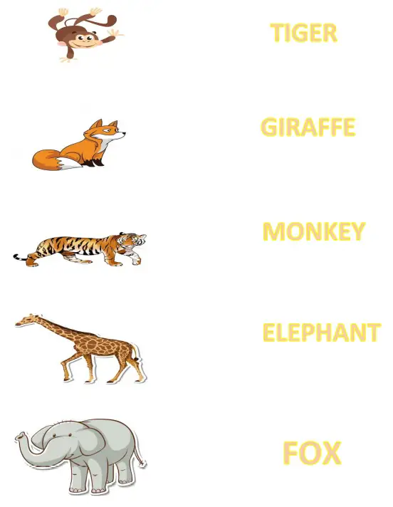 Name the Animals Worksheet for UKG (Total Marks 40)
