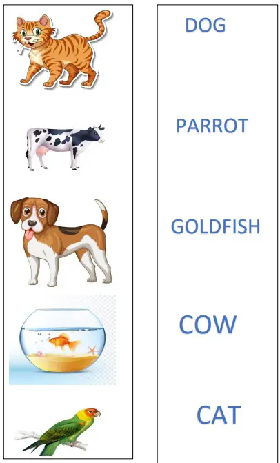 Name the Domestic and Pet Animals Worksheet for UKG (Total Marks 40)