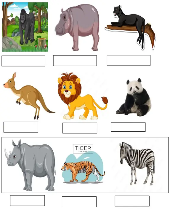 Wild Animals Worksheet for LKG (Total Marks 40)