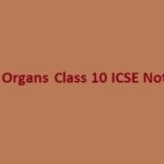 Sense Organs Class 10 ICSE Notes