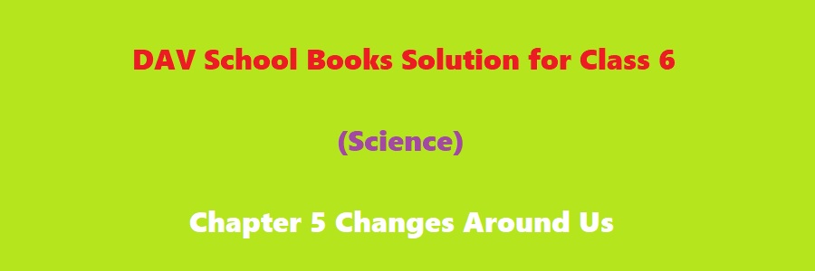 dav class 6 english chapter 5 question answer