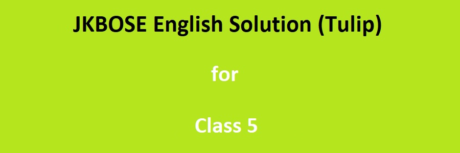 JKBOSE Class 5 English Tulip Solution
