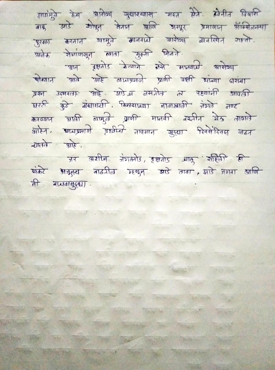 essay on marathi meaning