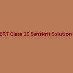 NCERT Class 10 Sanskrit Solution Shemushi भाग 2