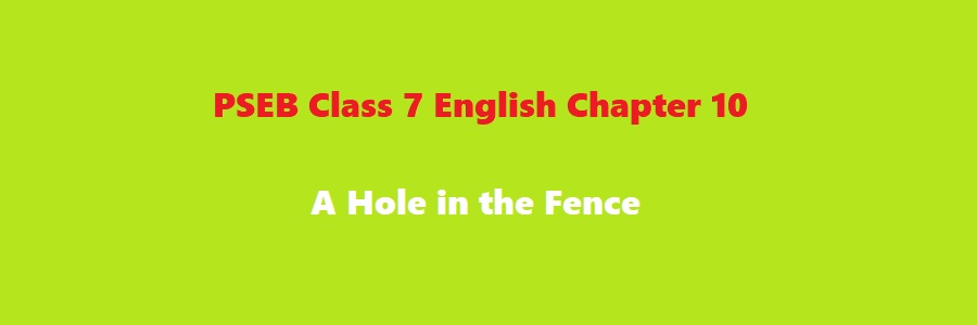 PSEB Class 7 English Chapter 10 A Hole in the Fence Solution
