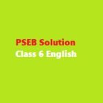 PSEB Solution Class 6 English