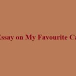Short Essay on My Favourite Cartoon in English for Class 4 to 8