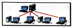 DAV Class 8 Computer Chapter 1 Let us Explore Computer Network Question ...