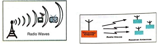 DAV Class 8 Computer Chapter 1 Let us Explore Computer Network Question ...
