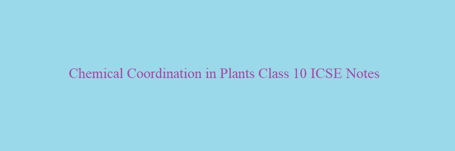 Chemical Coordination in Plants Class 10 ICSE Notes
