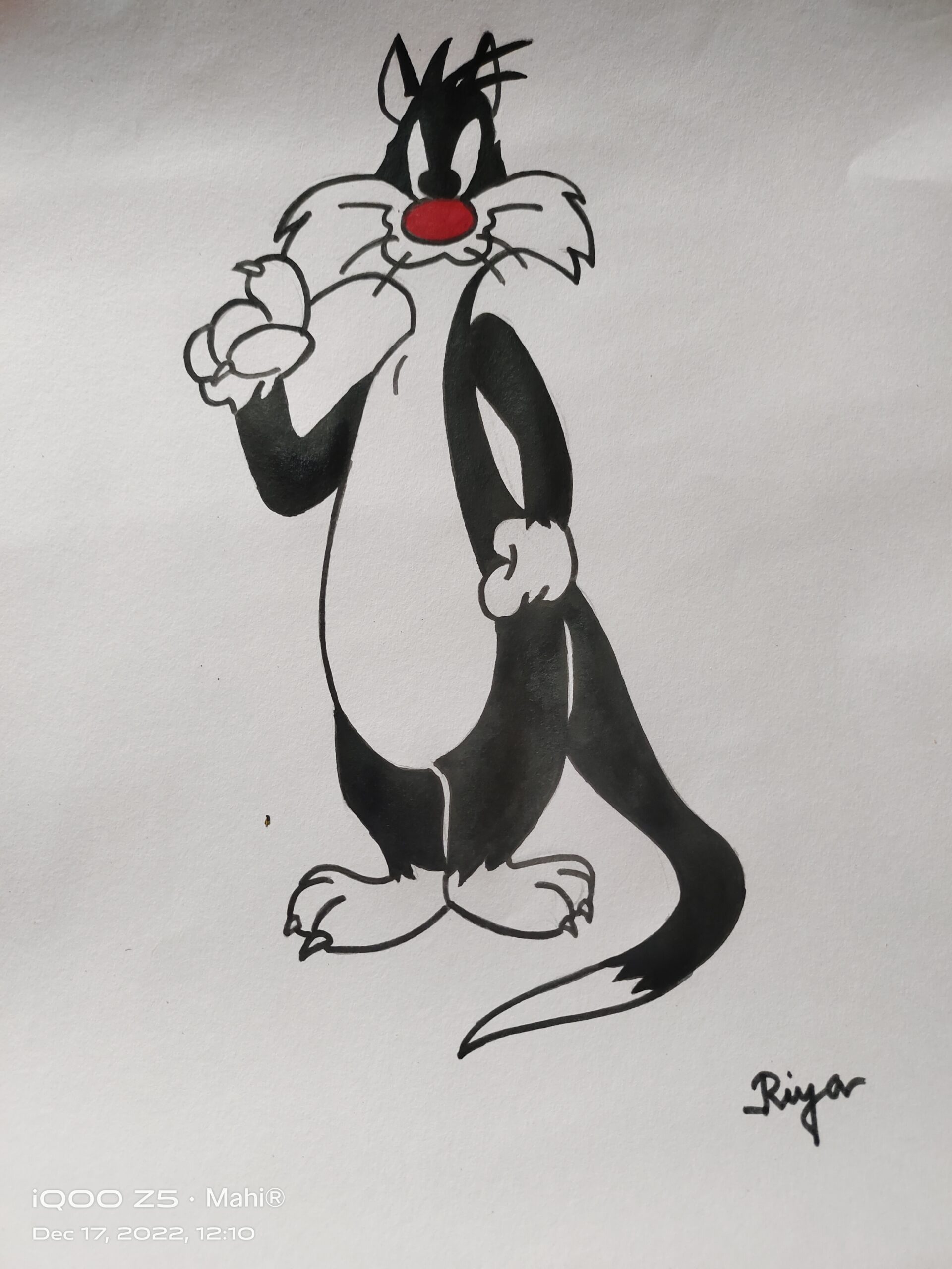 How to draw a Sylvester Step by Step
