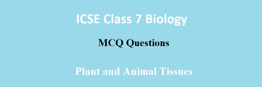 Plant and Animal Tissues Class 7 ICSE Biology MCQ Questions