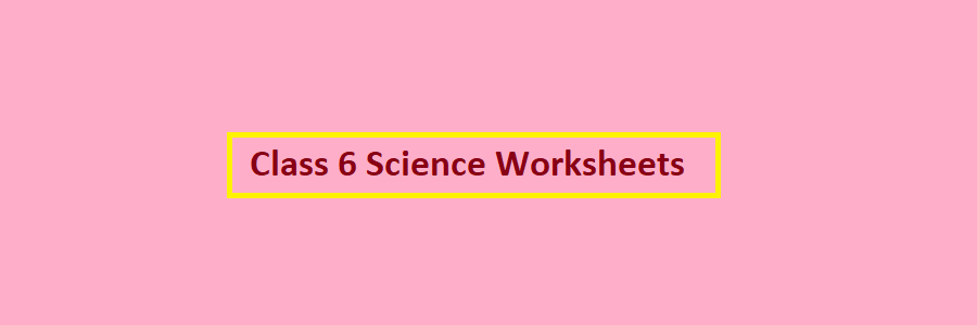 class 6th science worksheet