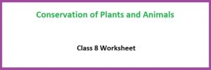 Conservation of Plants and Animals Class 8 Worksheet