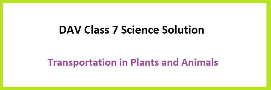 DAV Class 7 Science Chapter 8 Transportation in Plants and Animals Question  Answer Notes