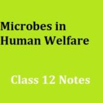 ncert 12 class Microbes in Human Welfare handwritten notes